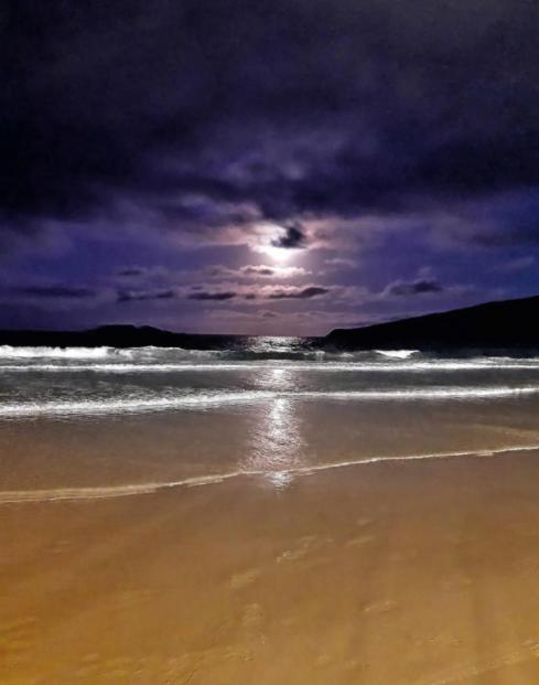 Apartamento Aconchegante A 200 Metros Da Praia Florianópolis Exterior foto